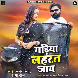 Gadiya Lahrat Jaay image