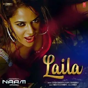 Laila (From Naam) image