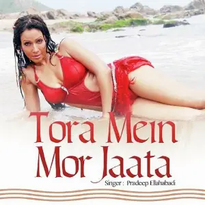 Tora Mein Mor Jaata image