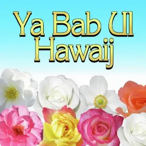 Ya Bab Ul Hawaij image
