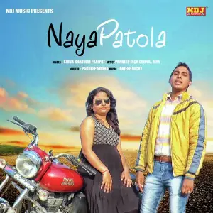Naya Patola image