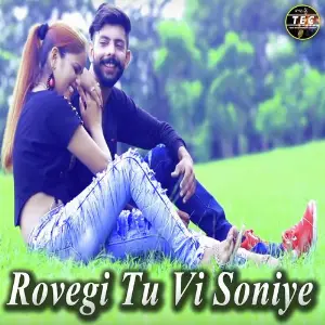 Rovegi Tu Vi Soniye image