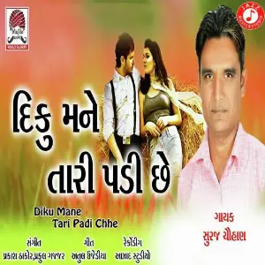 Diku Mane Tari Padi Chhe image