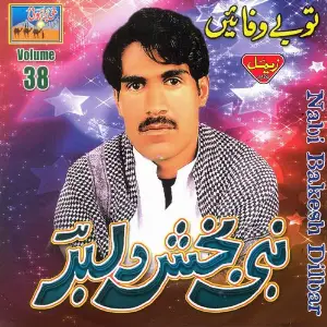 Tu Bewafayein, Vol. 38 image