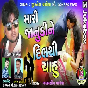 Mari Jaanudi ne Dil Thi image