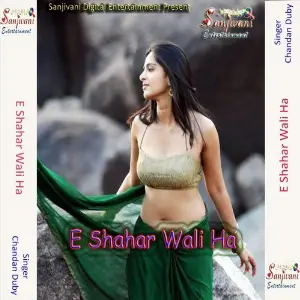 E Shahar Wali Ha image