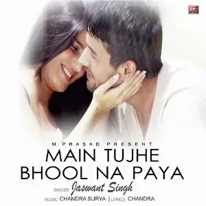 Main Tujhe Bhool Na Paya image