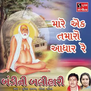 Mare Ek Tamaro Adhar Re image