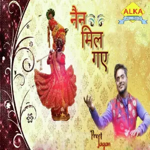 Nain Mil Gae image