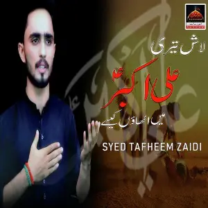 Lash Teri Ali Akbar Main Uthao Kaisay image