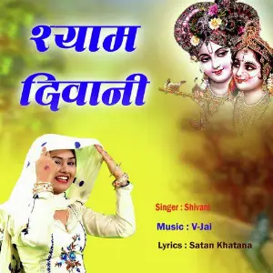 Shyam Diwani image