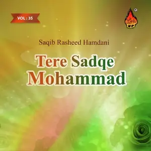 Tere Sadqe Mohammad, Vol. 35 image