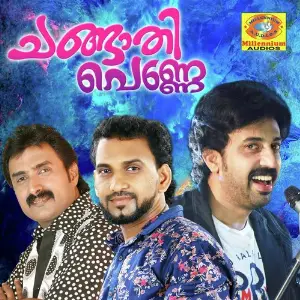 Changathi Penne image