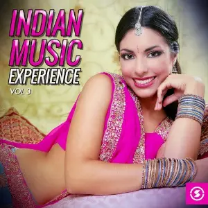 Indian Music Experience, Vol. 3 image