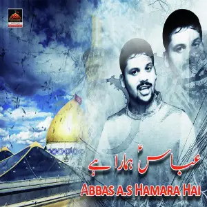 Abbas a.s Hamara Hai image