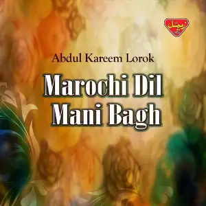 Marochi Dil Mani Bagh, Vol. 1 image
