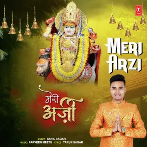 Meri Arzi image
