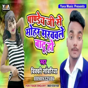 Pandey Ji Se Mohar image