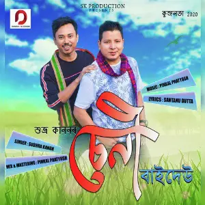 Seni Baideu - Single image