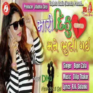 Mari Diku Mane Bhuli Gai image