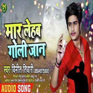 Maar Lehab Goli Jaan image