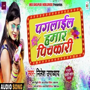 Paglail Hamar Pichkari image