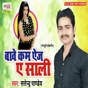 Bawe Kam Age Ae Sali image