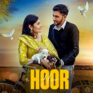 Hoor image
