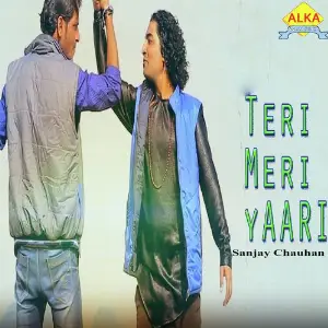 Teri Meri Yaari image