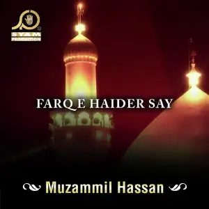Farq E Haider Say - Single image