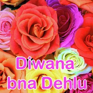 Diwana Bna Dehlu image