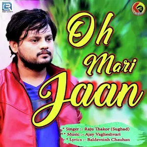 Oh Mari Jaan image