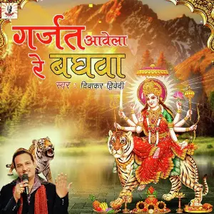 Garjat Aawela Re Baghwa image