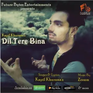 Dil Tere Bina image