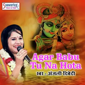 Agar Babu Tu Na Hota image
