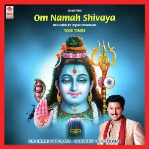 Om Namah Shivaaya image