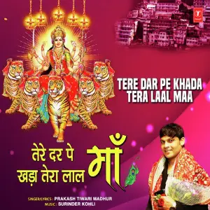 Tere Dar Pe Khada Tera Laal Maa image