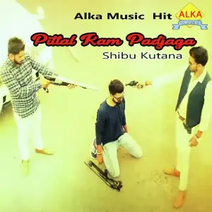 Pittal Kam Padjaga image