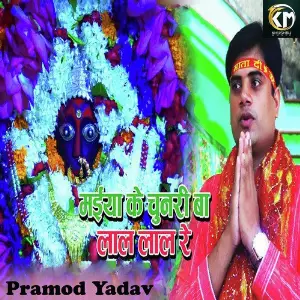 Maiya Kawna Chhavi Ke Dhari Hum Dhiyanwa image