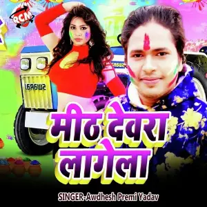 Mith Dewra Lage La image