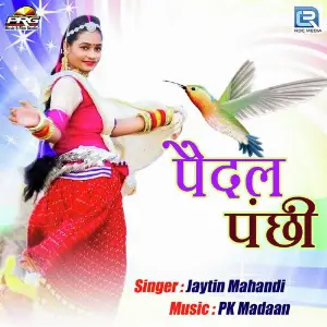 Pedal Panchhi image