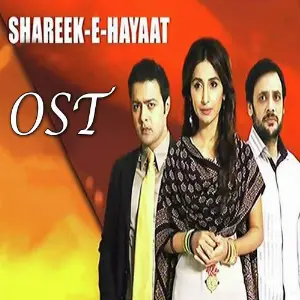 Shareek E Hayat (From Shareek E Hayat) image