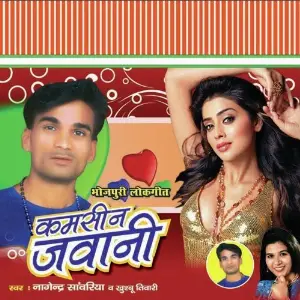 Kamseen Jawaani image