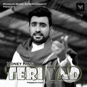 Teri Yad image