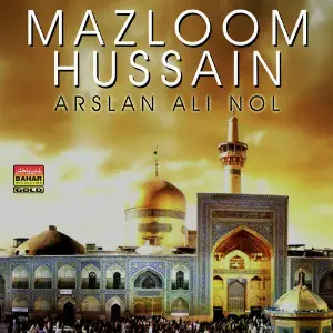 Mazloom Hussain image