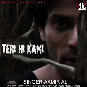 Teri Hi Kami image