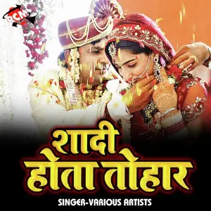 Shadi Hota Tohar image