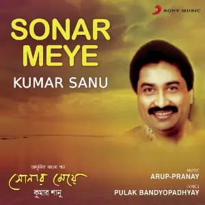 Sonar Meye image