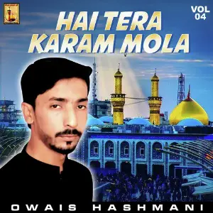 Hai Tera Karam Mola, Vol. 4 image