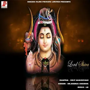 Mrit Sanjeevani Mantra (Instrumental) image